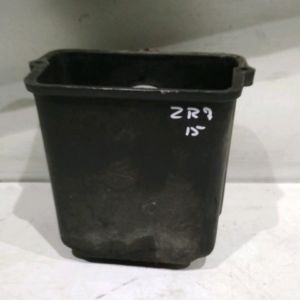 Kawasaki - ZR7 N - 2004 - Vide poche